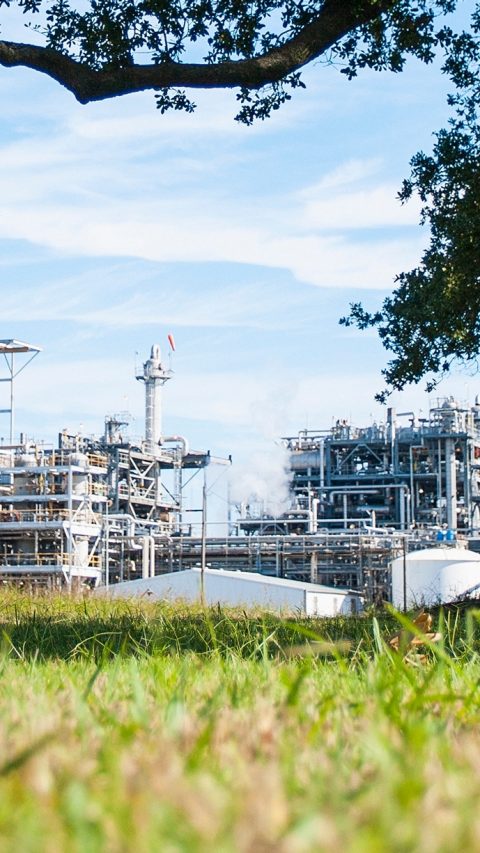 BASF Geismar, LA