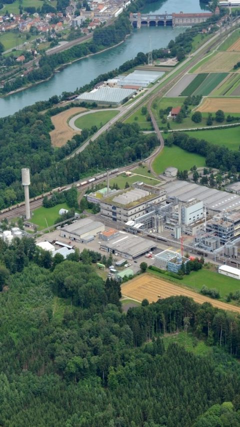 Am Standort Kaisten stellt die BASF vor allem Kunststoffadditive her, darunter grossvolumige Antioxidantien. Auch das Anwendungszentrum für Kunststoffadditive für die Region EMEA hat seinen Sitz am Standort. 