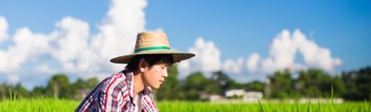 china-rice-farmer-stage.jpg