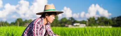 china-rice-farmer-stage.jpg